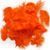 Перья orange 16013