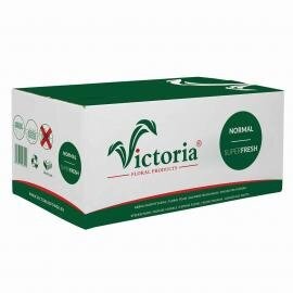 Флористическая губка Victoria упаковка 20шт