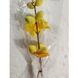 Easter branch with eggs, 2&times;3 cm, pack of 10, colour yellow - 27010544