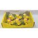 Easter chicks in nests, 6 pcs per box, 25&times;17&times;6 cm, design 1 - 27010569